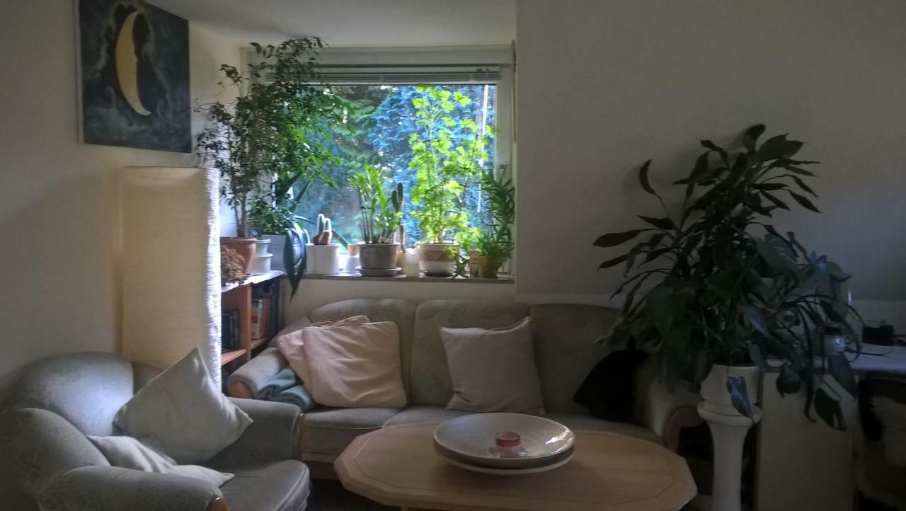 Gemuetl. Ferienwohnung Und Privatzimmer ฮัมบูร์ก ภายนอก รูปภาพ